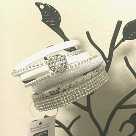 Bundle Charlie Paige and Story by DaVinci Bracelets NWT - Picture 7 of 11